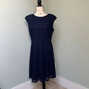 Wisp Lace Knit Dress